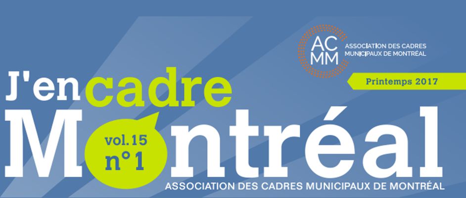 Image du site acmm