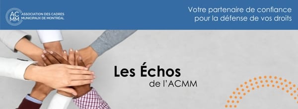 Image du site acmm