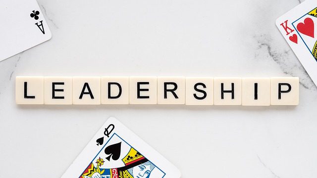 Faire une femme de soi : Développer le leadership féminin pour maximiser le potentiel des organisations !